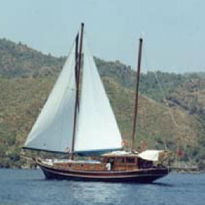 MS Gulet Odin