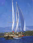 MS Luxury Gulet Arielle 1 - Click to Enlarge