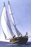 MS Luxury Gulet Motif - Click to Enlarge